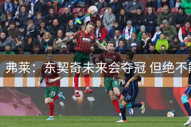弗莱：东契奇未来会夺冠 但绝不能靠现在这种大包大揽的打法